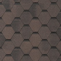 Сальса Финик Сальса Финик